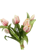 Faux Fresh Touch Tulip Bunch Pink Cream-Pink