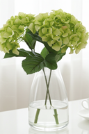 Faux Green Hydrangea Macrophylla