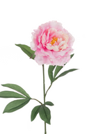 Faux Light Pink Peony Stem