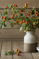 Faux Rosehip And Faux Silk Foliage Spray