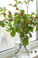 Faux Rosehip And Faux Silk Foliage Spray