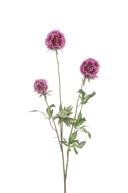 Faux Scabiosa Stellata Spray 73cm