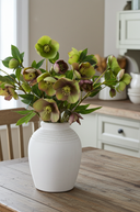 Faux Silk Green Burgundy Helleborus Flower Stem