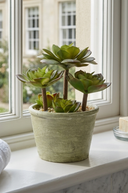 Faux Succulent Plant 19cm