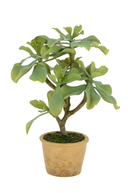 Faux Succulent Plant in Pot 42cm