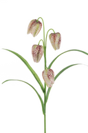 Faux Violet and Green Fritillaria Stem