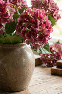 Faux Burgundy Hydrangea Stem