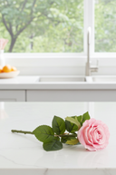 Faux Fresh Touch Rose Pink Melon