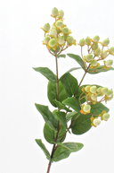 Faux Green Hypericum Berries