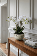 White Orchids in Clay Pot 47cm - The Irish Country Home