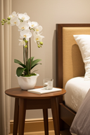 Faux Orchid in Ceramic Crinkle Pot 62cm