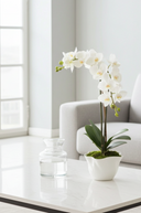 Faux Orchid in Ceramic Crinkle Pot 62cm