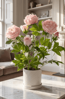 Faux Pink Peony in White Pot - The Irish Country Home