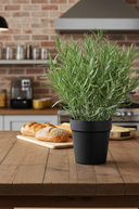 Faux Rosemary Plant