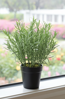 Faux Rosemary Plant