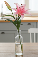 Fresh Touch Pink Lily