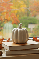 Glazed White Ceramic Pumpkin 12.3cm - The Irish Country Home