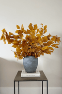 Preserved Autumnal Beech Gold - The Irish Country Home