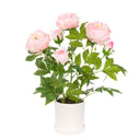 Faux Pink Peony in White Pot - The Irish Country Home