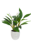 Faux Peace Lily in Ceramic Pot