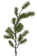 Faux Green Pine Branch with Moss — 70cm