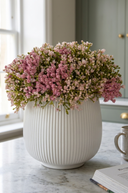 Pink Baby's Breath in Ribbed Pot