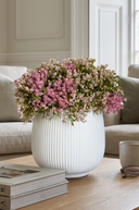Pink Baby's Breath in Ribbed Pot