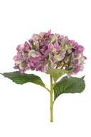 Faux Pink & Green Hydrangea