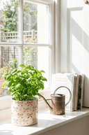 Pretty Bow Planter - The Irish Country Home