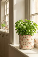 Pretty Bow Planter - The Irish Country Home
