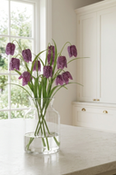 Purple Fritillaria Stem