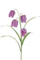 Purple Fritillaria Stem - The Irish Country Home