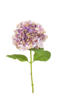Faux Purple & Green French Hydrangea Stem