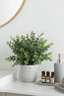 Small Faux Eucalyptus in Textured Pot