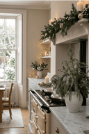 Sparkle Pine in Pot 45cm - The Irish Country Home