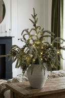 Sparkle Pine in Pot 45cm - The Irish Country Home