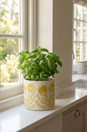 Sunflower Planter, 14cm - The Irish Country Home