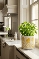 Sunflower Planter, 14cm - The Irish Country Home
