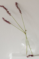 A clear ribbed glass vase with a bulbous shape, containing a bunch of purple flowers. The vase is placed against a white background, and there is a hint of a shadow falling behind it.