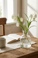 White Fritillaria Stem