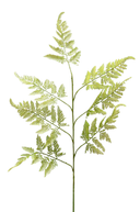 Faux Green Fern Stem