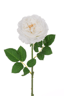 Faux Fresh Touch White Rose Stem - The Irish Country Home