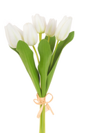 Fresh Touch PU Tulip Bundle