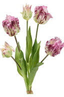 Faux Fresh Touch Parrot Tulip Bunch Purple