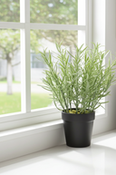 Faux Rosemary Plant