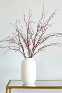 Tall Willow Branch Stem