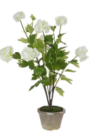 Faux Viburnum in Cement Pot