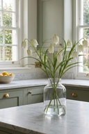 White Fritillaria Stem