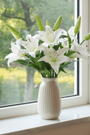 white irish lily Fresh Touch White Lily – The Irish Country Home