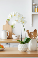 White Orchid in a Dimpled Pot 50cm